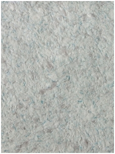 SILKPLASTER skysti tapetai Airline 601