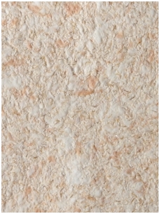 SILKPLASTER skysti tapetai Airline 603