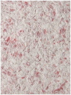 SILKPLASTER skysti tapetai Airline 606