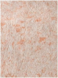 SILKPLASTER skysti tapetai Airline 609