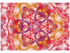AP DIGITAL fototapetai 470015 Blossom Pentacle