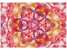 AP DIGITAL fototapetai 470015 Blossom Pentacle