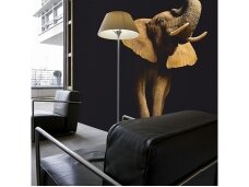 AP DIGITAL fototapetai 470033 Elephant