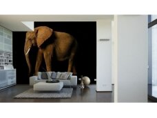 AP DIGITAL fototapetai 470034 Elephant Side