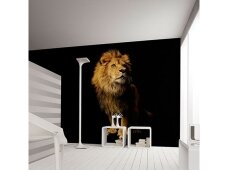 AP DIGITAL fototapetai 470037 Lion AP DIGITAL fototapetai 470037 Lion