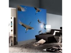 AP DIGITAL fototapetai 470096 Fly Away AP DIGITAL fototapetai 470096 Fly Away