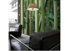 AP DIGITAL fototapetai 470137 Bamboo AP DIGITAL fototapetai 470137 Bamboo