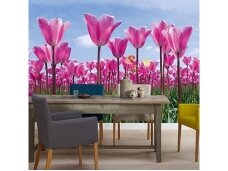 AP DIGITAL fototapetai 470141 Tulip Forest AP DIGITAL fototapetai 470141 Tulip Forest