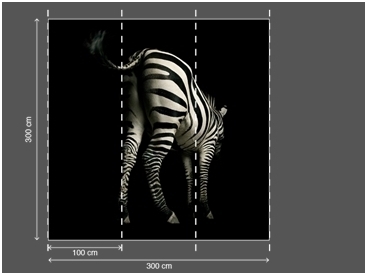 AP DIGITAL fototapetai 470039 Zebra