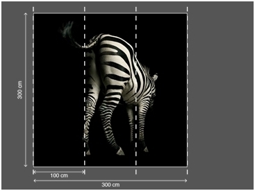 AP DIGITAL fototapetai 470039 Zebra 2 AP DIGITAL fototapetai 470039 Zebra 2