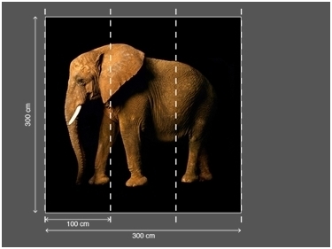 AP DIGITAL fototapetai 470034 Elephant Side 2