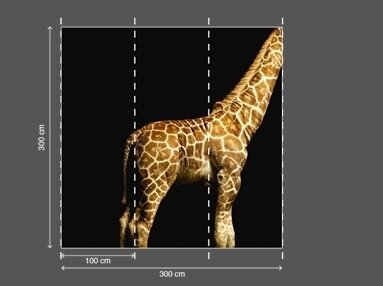 AP DIGITAL fototapetai 470035 Giraffe 2