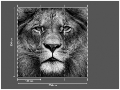 AP DIGITAL 2 fototapetai 470513 2