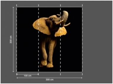 AP DIGITAL fototapetai 470033 Elephant 2