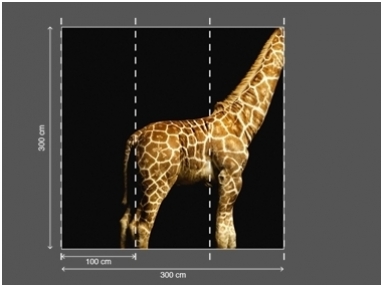 AP DIGITAL fototapetai 470035 Giraffe 2