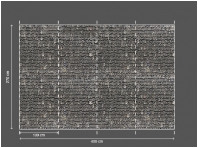 AP DIGITAL 2 fototapetai 470403 3