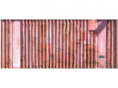 AP DIGITAL 2 fototapetai 470406