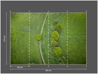 AP DIGITAL 2 fototapetai 470419 2