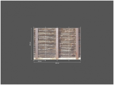 AP DIGITAL 2 fototapetai 470421 3