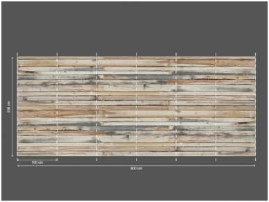 AP DIGITAL 2 fototapetai 470427 3
