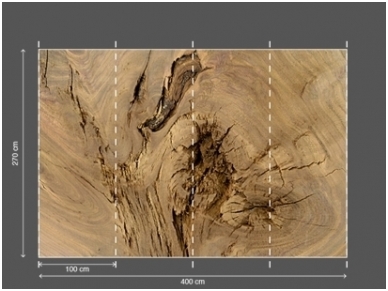 AP DIGITAL 2 fototapetai 470428 3