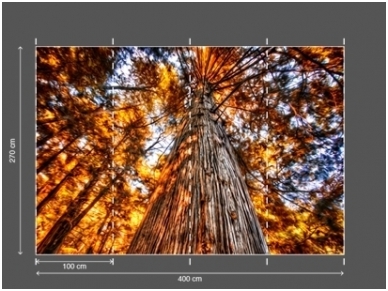 AP DIGITAL 2 fototapetai 470452 2