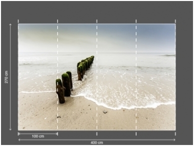 AP DIGITAL 2 fototapetai 470461 3