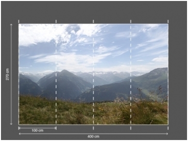 AP DIGITAL 2 fototapetai 470487 3