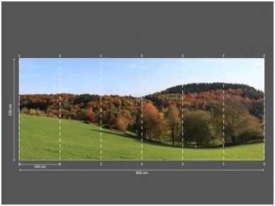 AP DIGITAL 2 fototapetai 470489 3