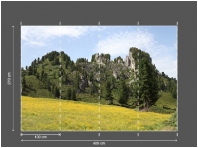 AP DIGITAL 2 fototapetai 470494 2