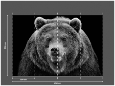 AP DIGITAL 2 fototapetai 470507 2