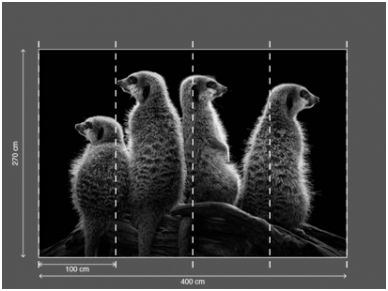 AP DIGITAL 2 fototapetai 470508 2