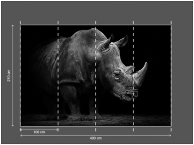 AP DIGITAL 2 fototapetai 470509 2