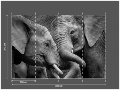 AP DIGITAL 2 fototapetai 470511 2