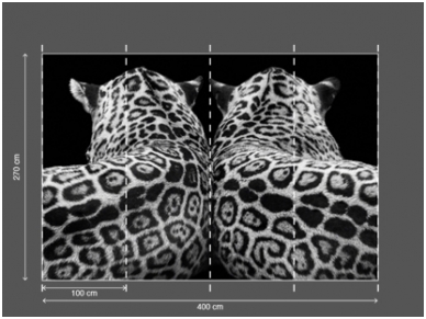 AP DIGITAL 2 fototapetai 470514 2