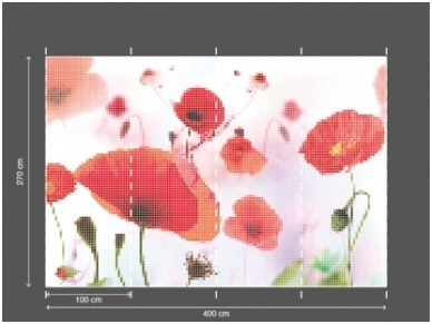 AP DIGITAL 2 fototapetai 470548 2