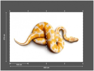 AP DIGITAL fototapetai 470031 Snake 2
