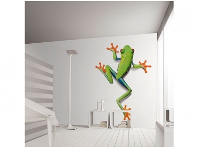 AP DIGITAL fototapetai 470032 Frog 1