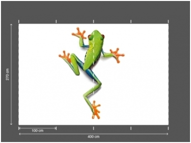 AP DIGITAL fototapetai 470032 Frog 2