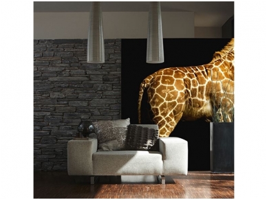 AP DIGITAL fototapetai 470035 Giraffe 1