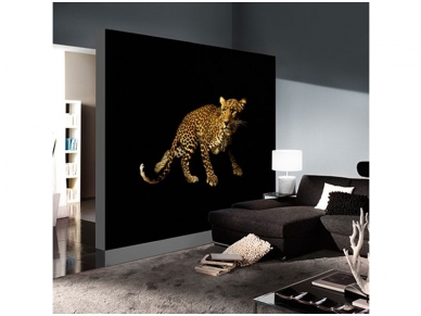 AP DIGITAL fototapetai 470036 Leopard 1