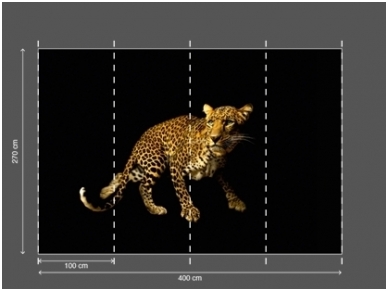 AP DIGITAL fototapetai 470036 Leopard 2