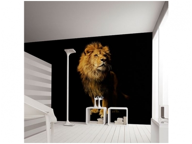 AP DIGITAL fototapetai 470037 Lion 1