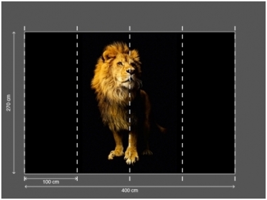 AP DIGITAL fototapetai 470037 Lion 2