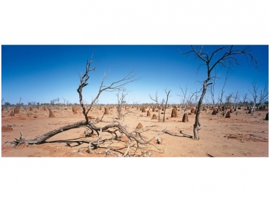 AP DIGITAL fototapetai 470060 Outback