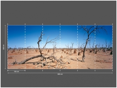 AP DIGITAL fototapetai 470060 Outback 2