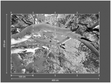 AP DIGITAL fototapetai 470068 Tree Tops 2 AP DIGITAL fototapetai 470068 Tree Tops 2