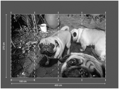 AP DIGITAL fototapetai 470071 Puppy Dogs 2