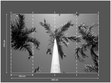 AP DIGITAL fototapetai 470073 Palms 2 AP DIGITAL fototapetai 470073 Palms 2
