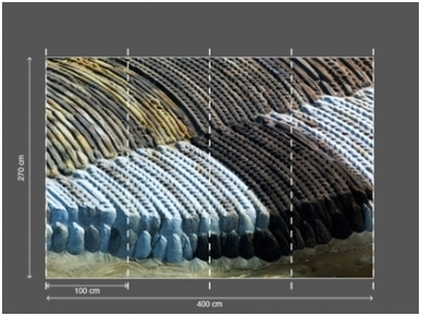 AP DIGITAL fototapetai 470083 Voelkinger Klettwitz 2
